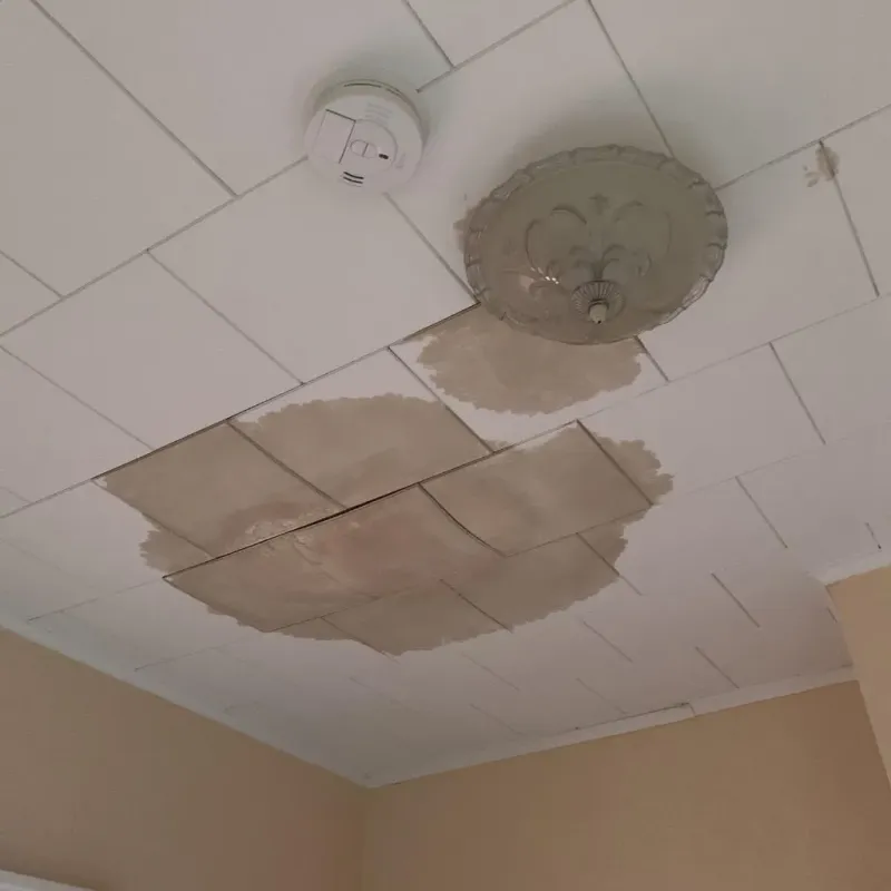 Ceiling Water Damage Repair in Concord, MA