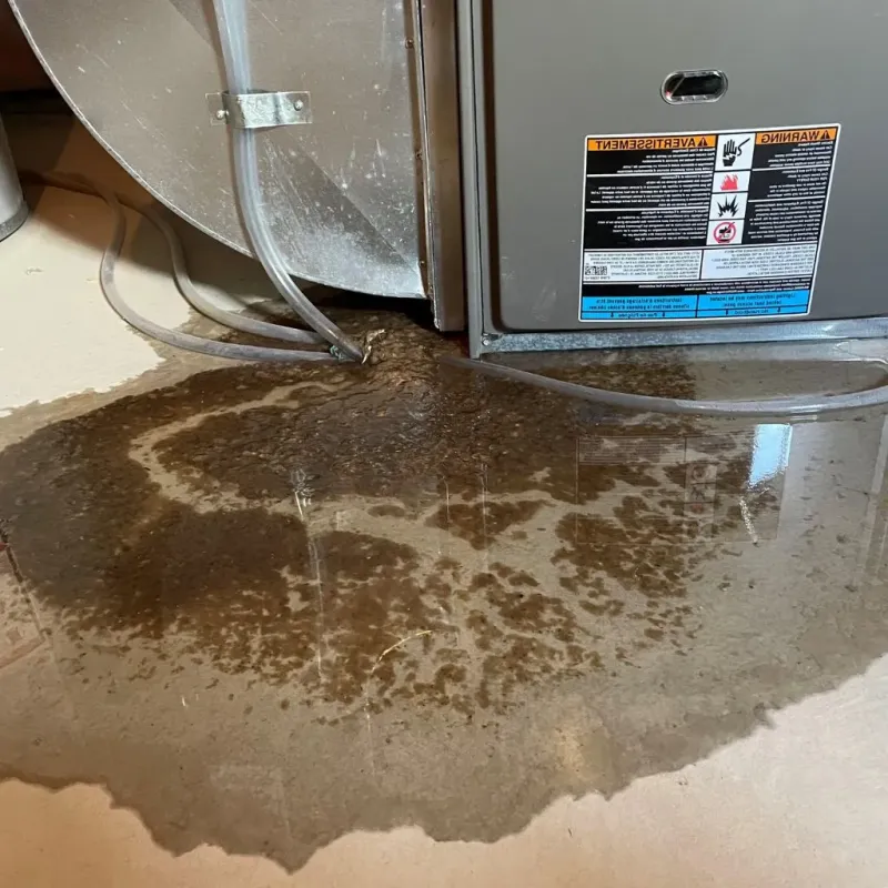 Pipe Burst and Leak Restoration in Concord, MA